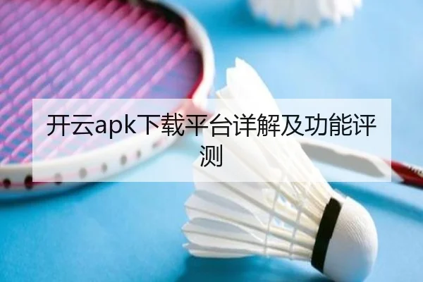 开云apk下载平台详解及功能评测