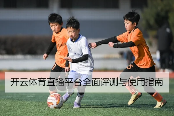 开云体育直播平台全面评测与使用指南