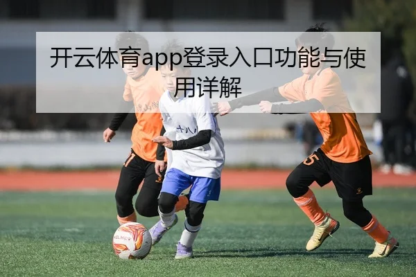 开云体育app登录入口功能与使用详解