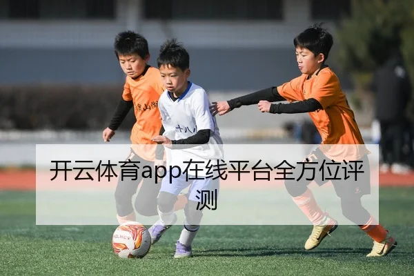 开云体育app在线平台全方位评测