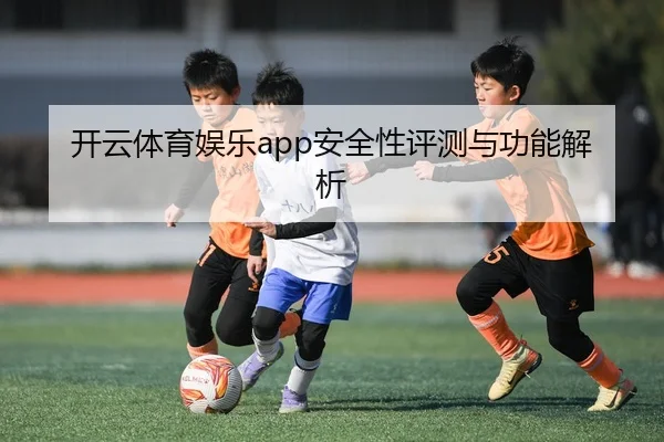 开云体育娱乐app安全性评测与功能解析