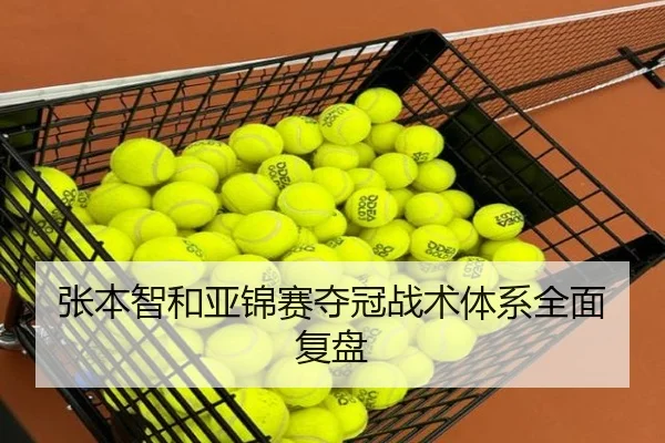 张本智和亚锦赛夺冠战术体系全面复盘
